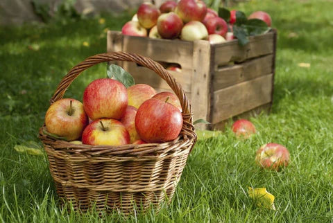 Ep. 505. Picking the Best Apples for Your Fall Treats